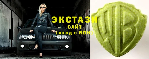 хмурый Алексин