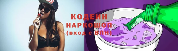 хмурый Алексин