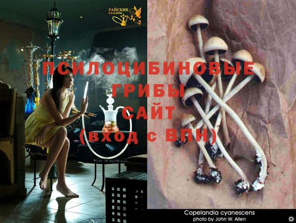 гашишное масло Алзамай