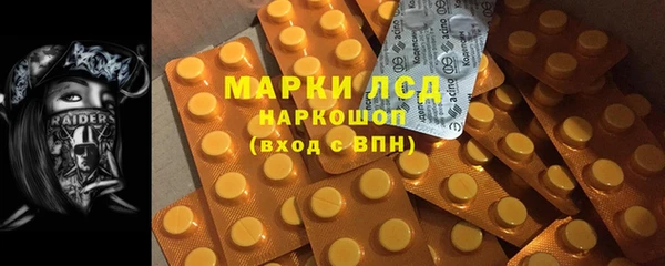 хмурый Алексин