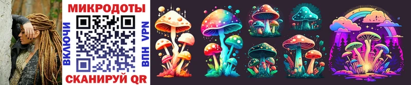 Псилоцибиновые грибы Magic Shrooms  MEGA зеркало  Кола  дарнет шоп 